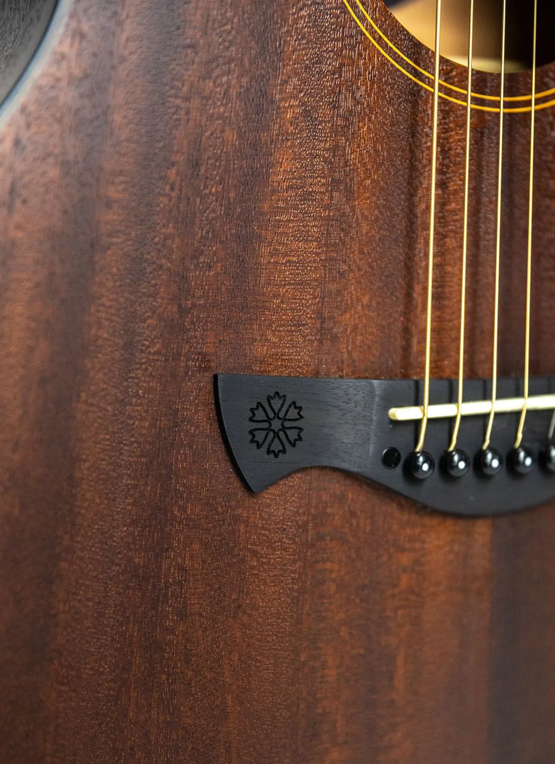 Tagima Detroit chitarra acustica elettrificata sapele