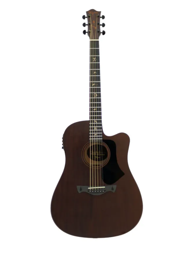 Tagima Juninho Afram chitarra acustica dreadnought