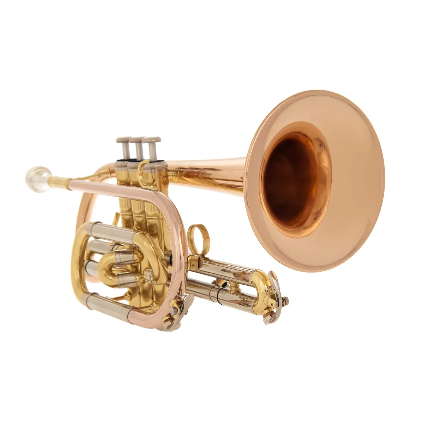 John Packer JP171SW cornetta in Sib per studenti