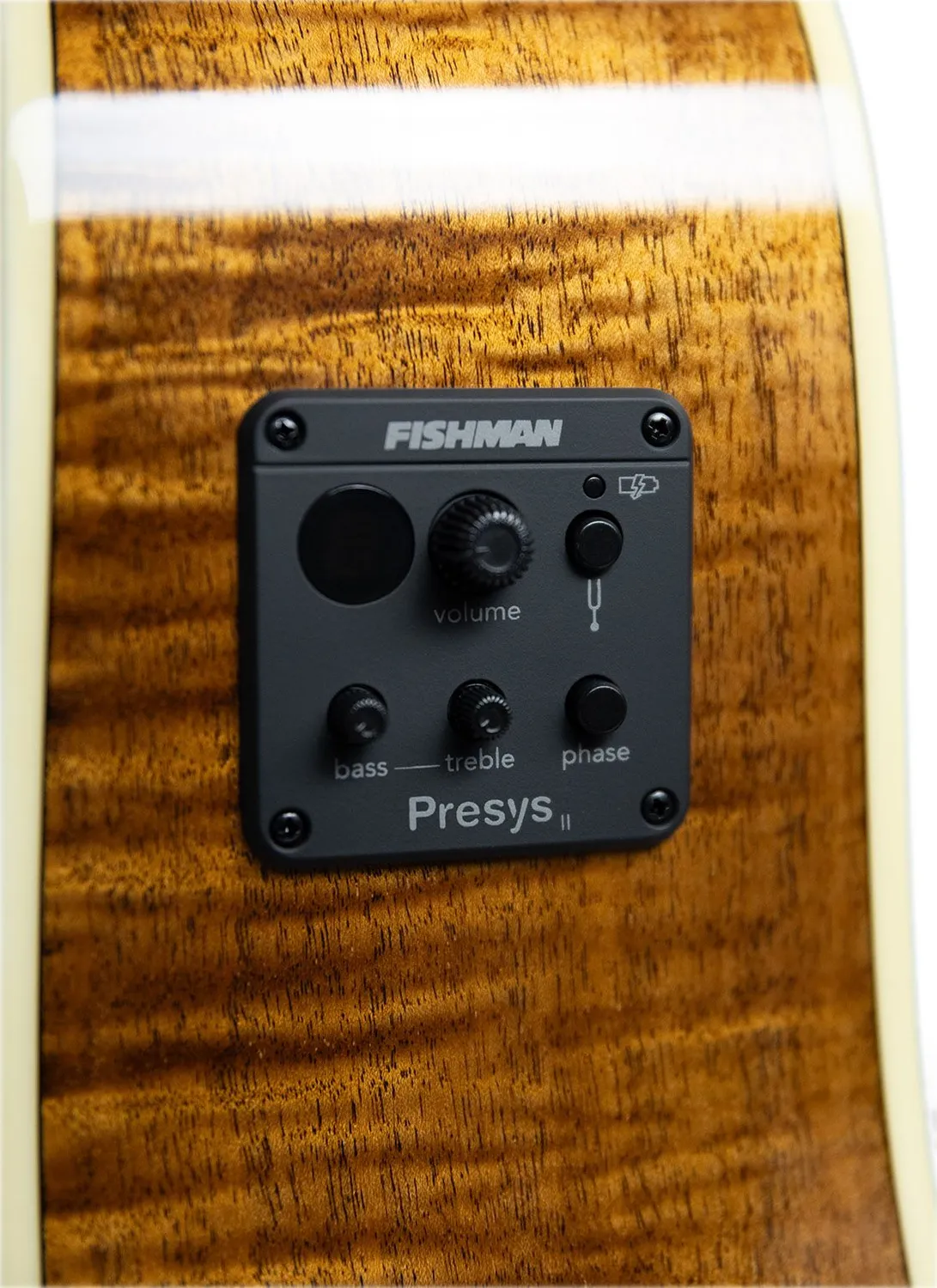 Tagima Florens FS-200 elettroacustica dreadnought cedro