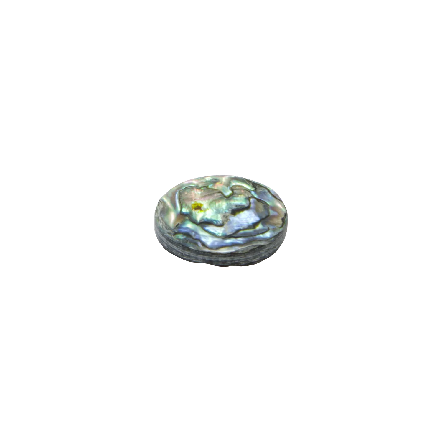 John Packer perlina abalone 13,6 mm per tromba