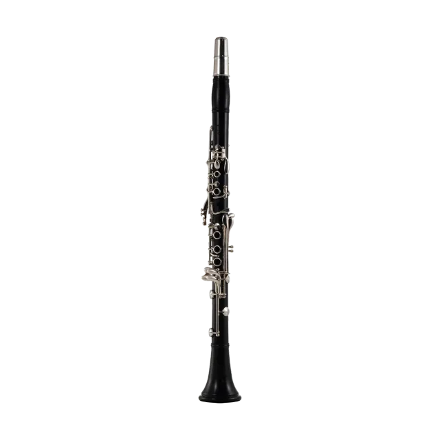 John Packer JP321 clarinetto Sib legno usato