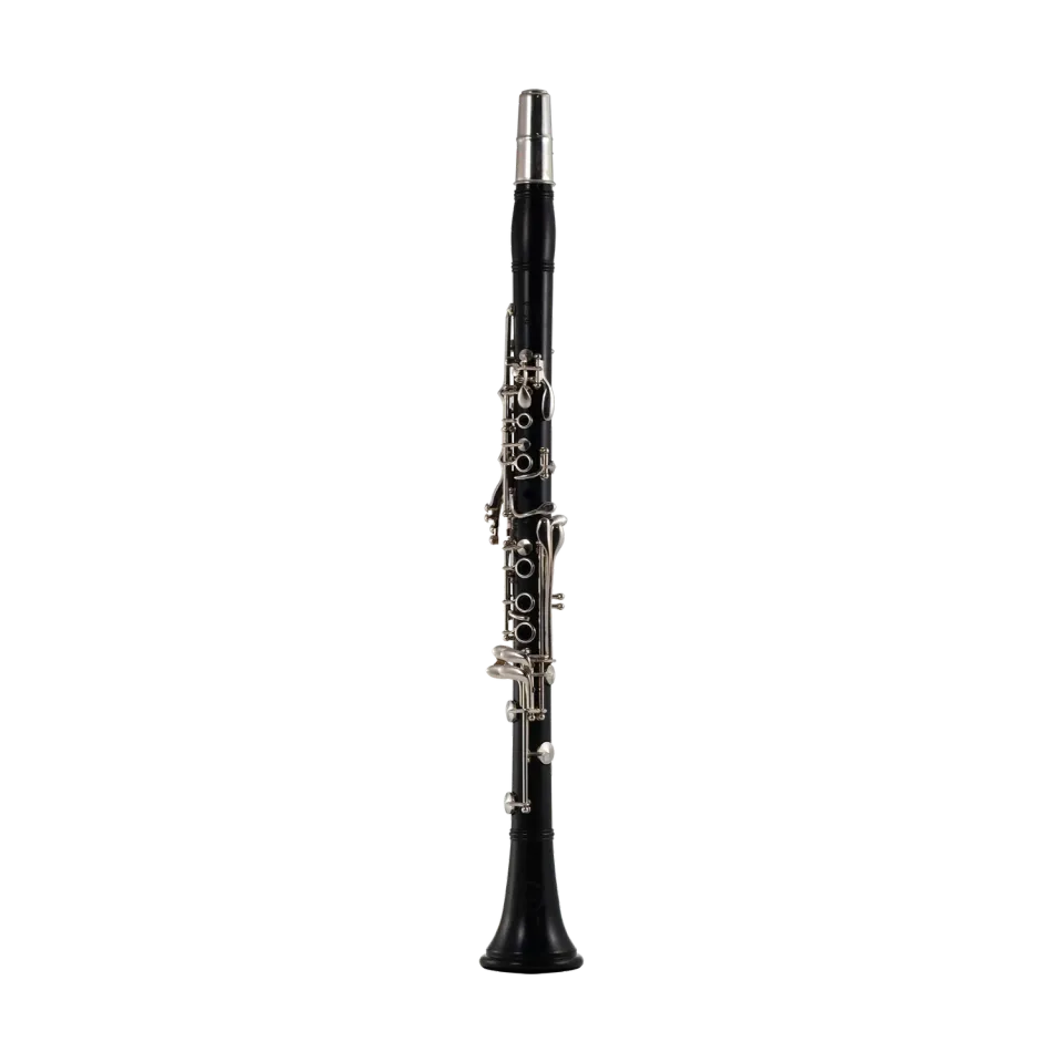 John Packer JP321 clarinetto Sib legno usato