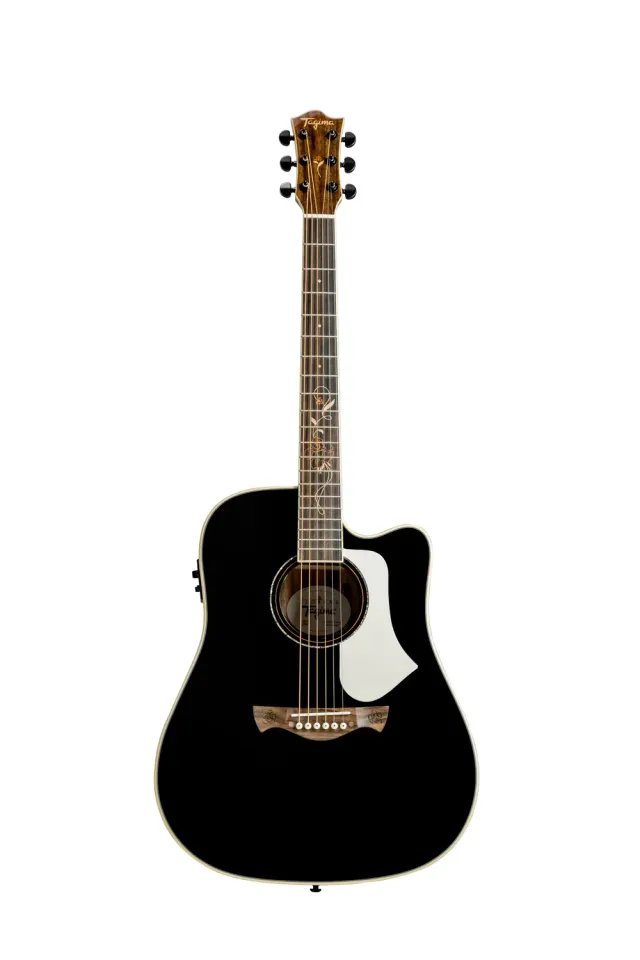 Tagima Florens FS-200 elettroacustica dreadnought cedro
