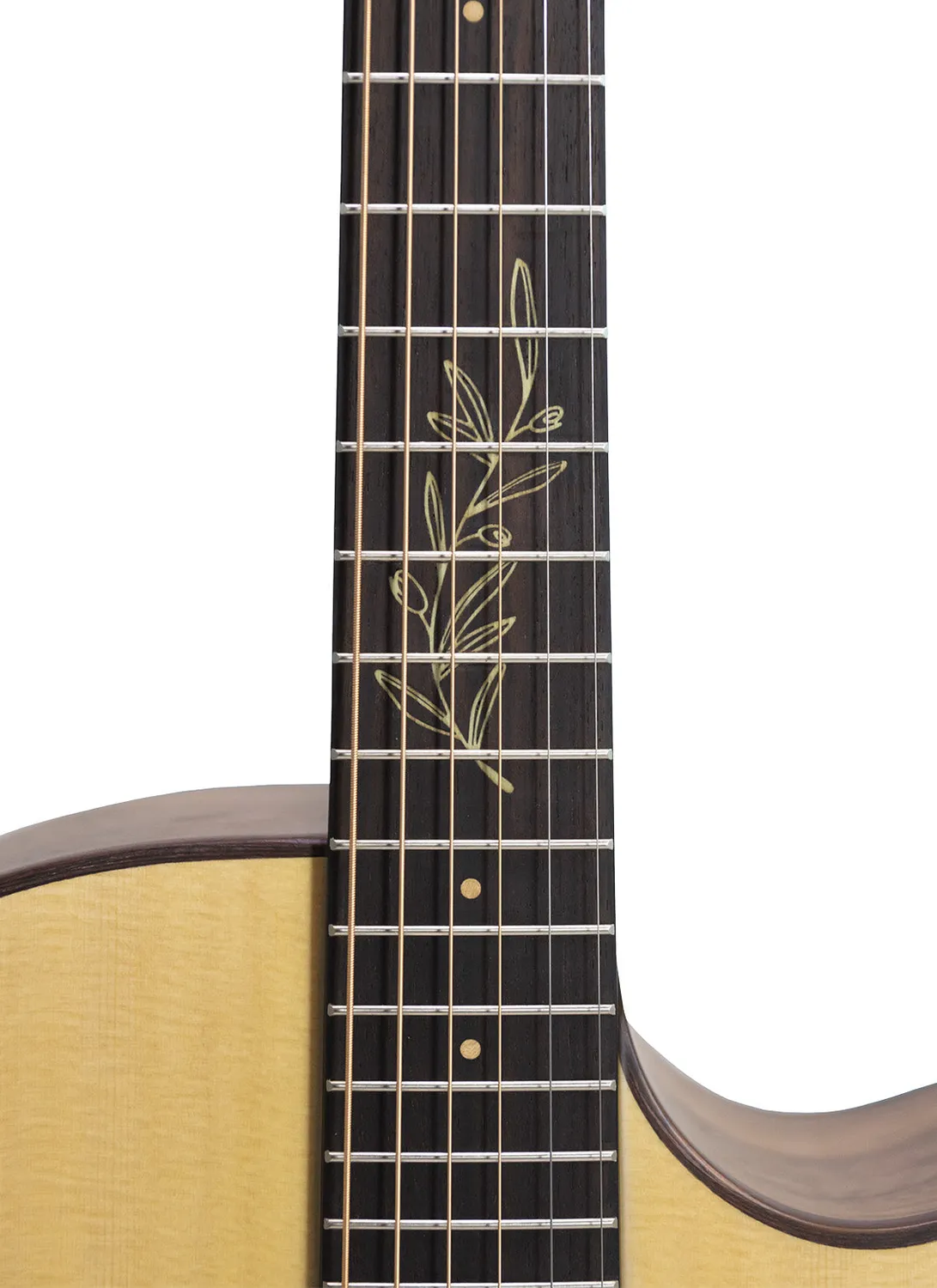 Tagima Signature Olive Grace acustica abete effetti USB-C