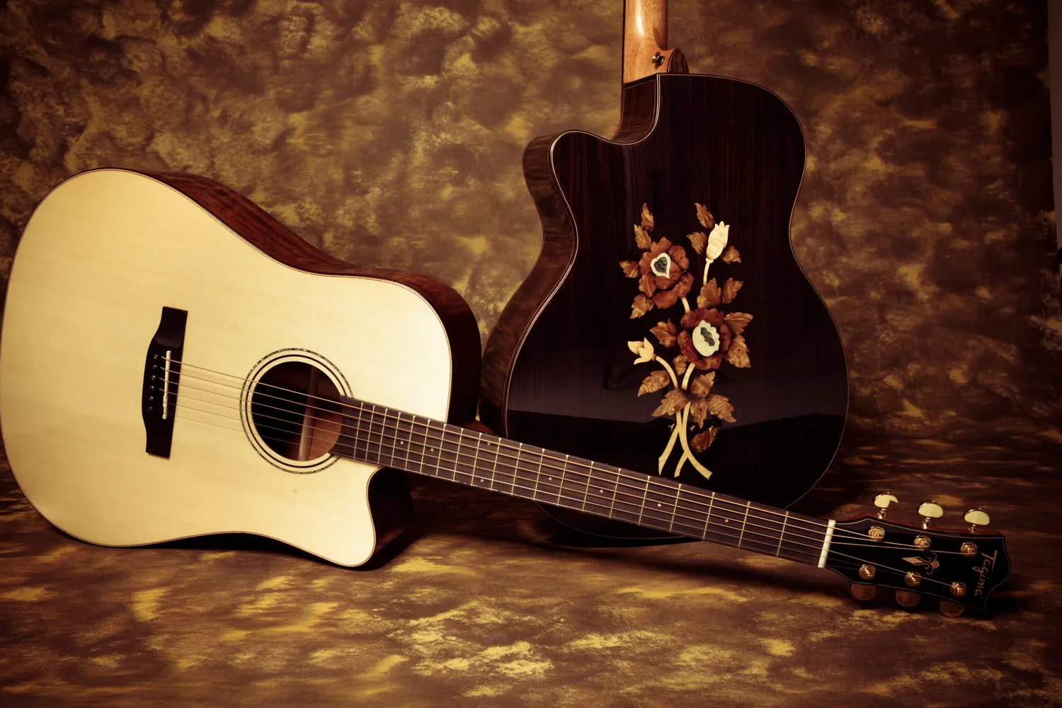 Tagima CF-2000 acustica dreadnought natural con custodia