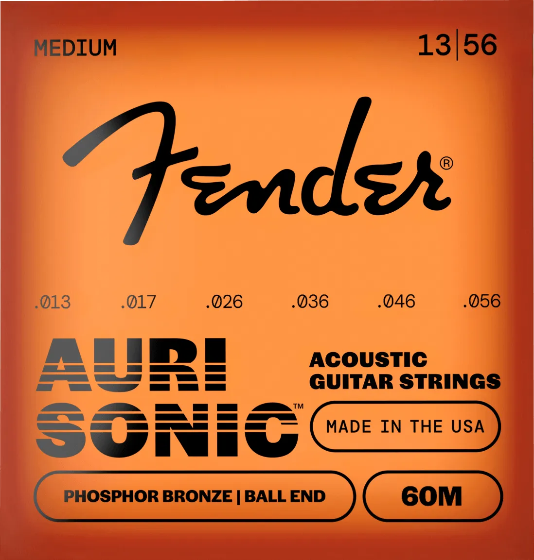 Squier AuriSonic 60 corde acustica 12-53 bronzo fosforoso