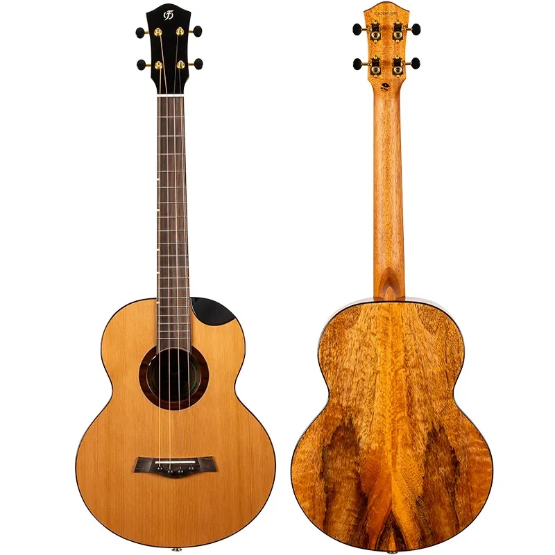Flight Lily Steel String ukulele baritono EQ-A acciaio