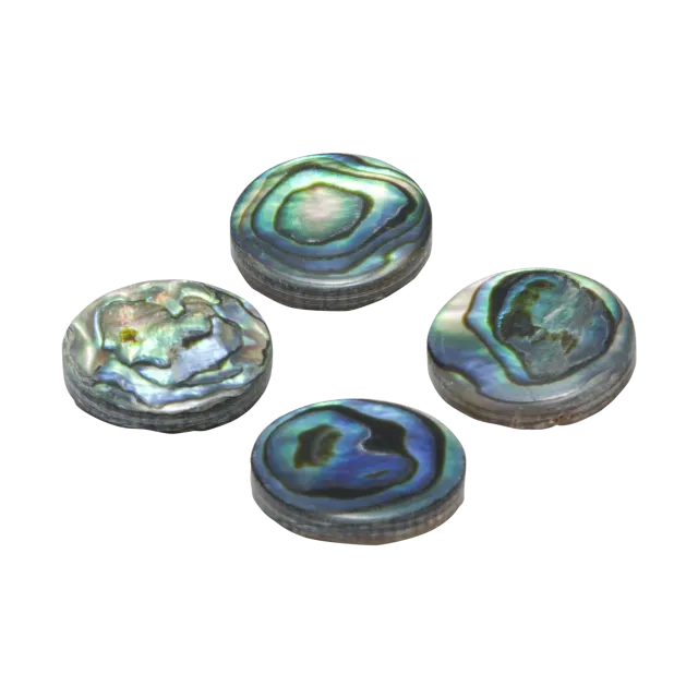 John Packer perlina abalone 13,6 mm per tromba