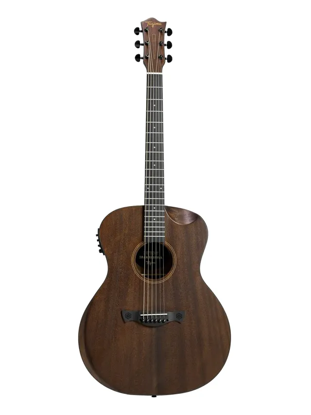 Tagima Detroit chitarra acustica elettrificata sapele