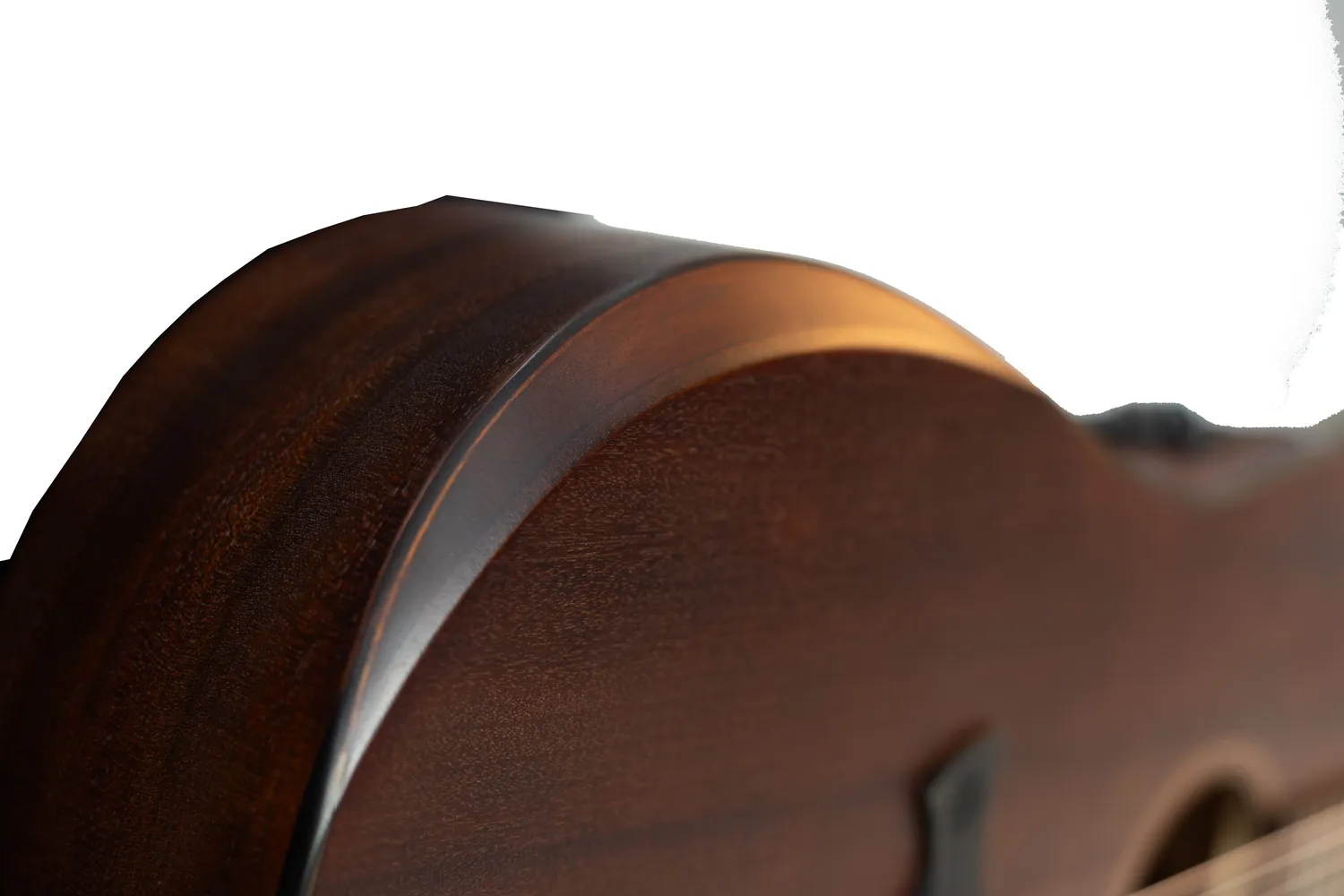 Tagima Gran Reserva New England chitarra acustica Dark Mahogany