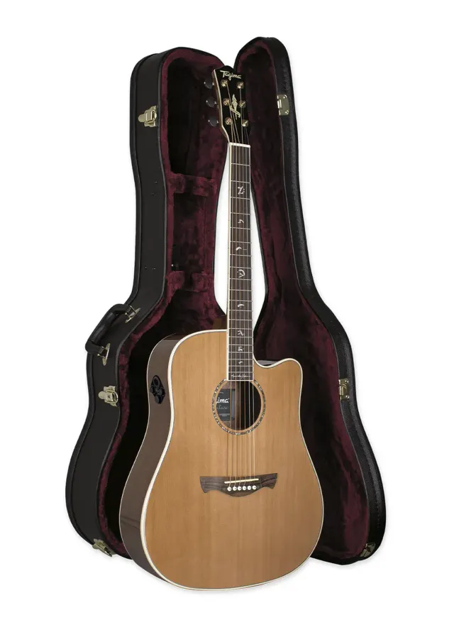 Tagima Juninho Afram Signature chitarra classica Natural