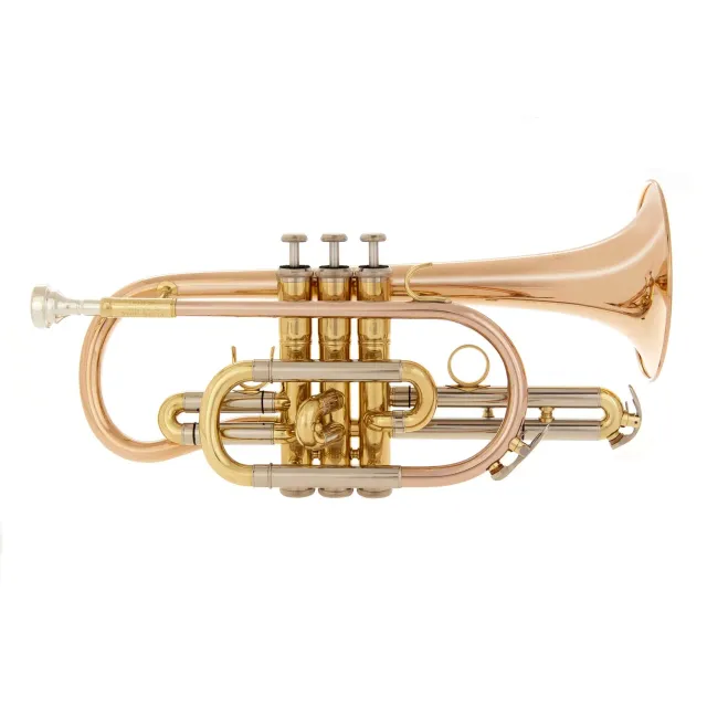 John Packer JP171SW cornetta in Sib per studenti