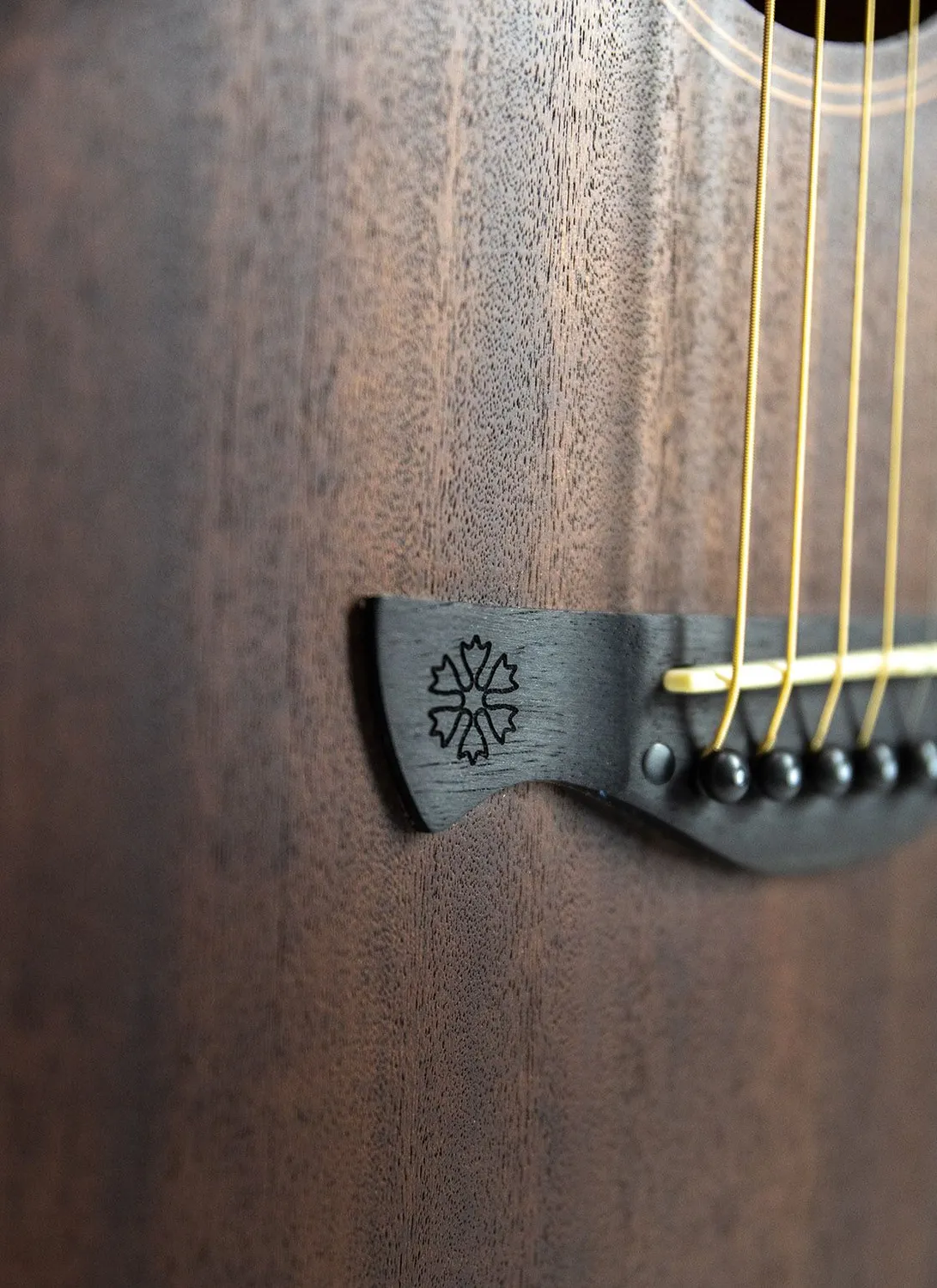 Tagima Gran Reserva New England chitarra acustica Dark Mahogany