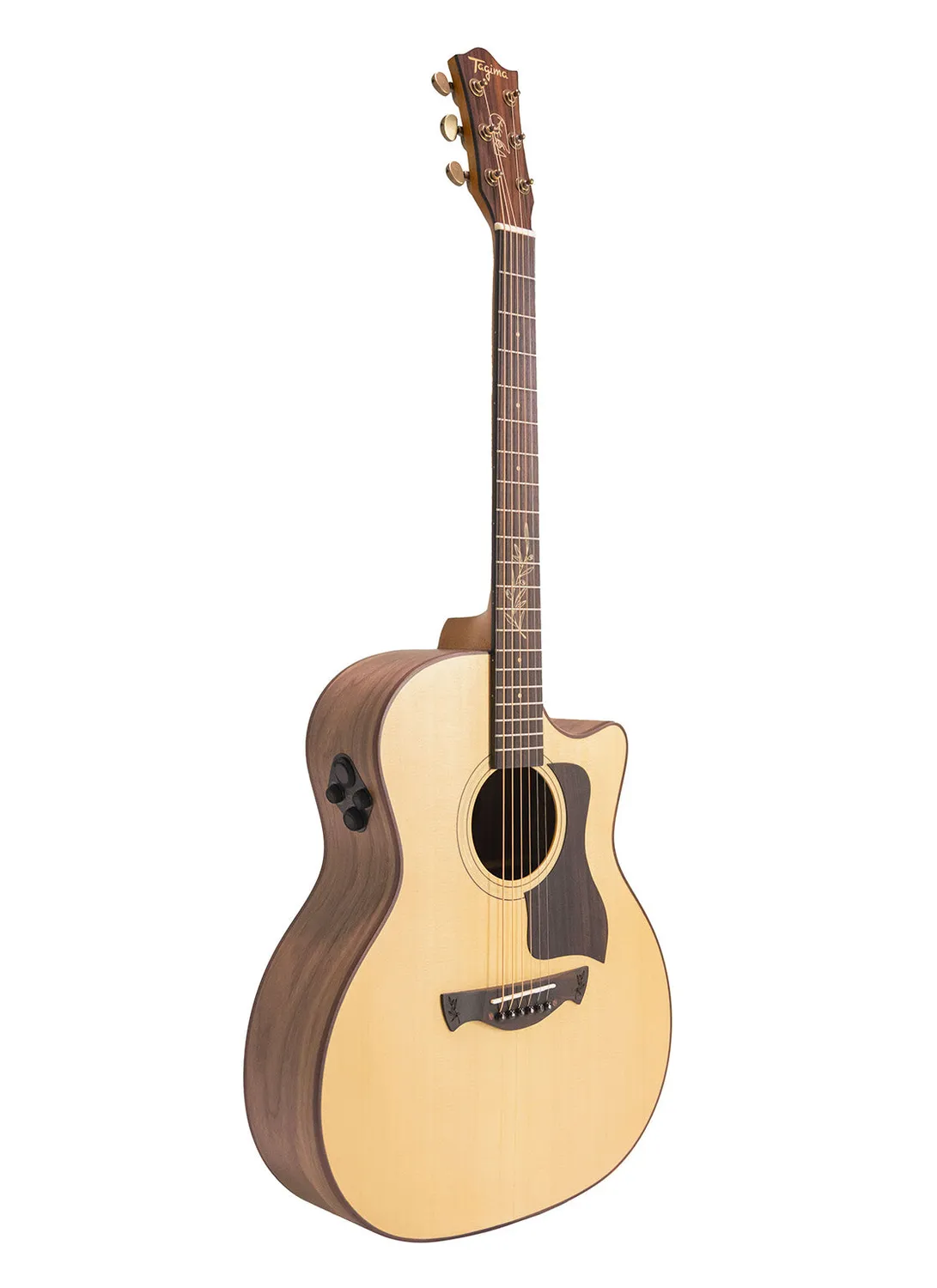 Tagima Signature Olive Grace acustica abete effetti USB-C
