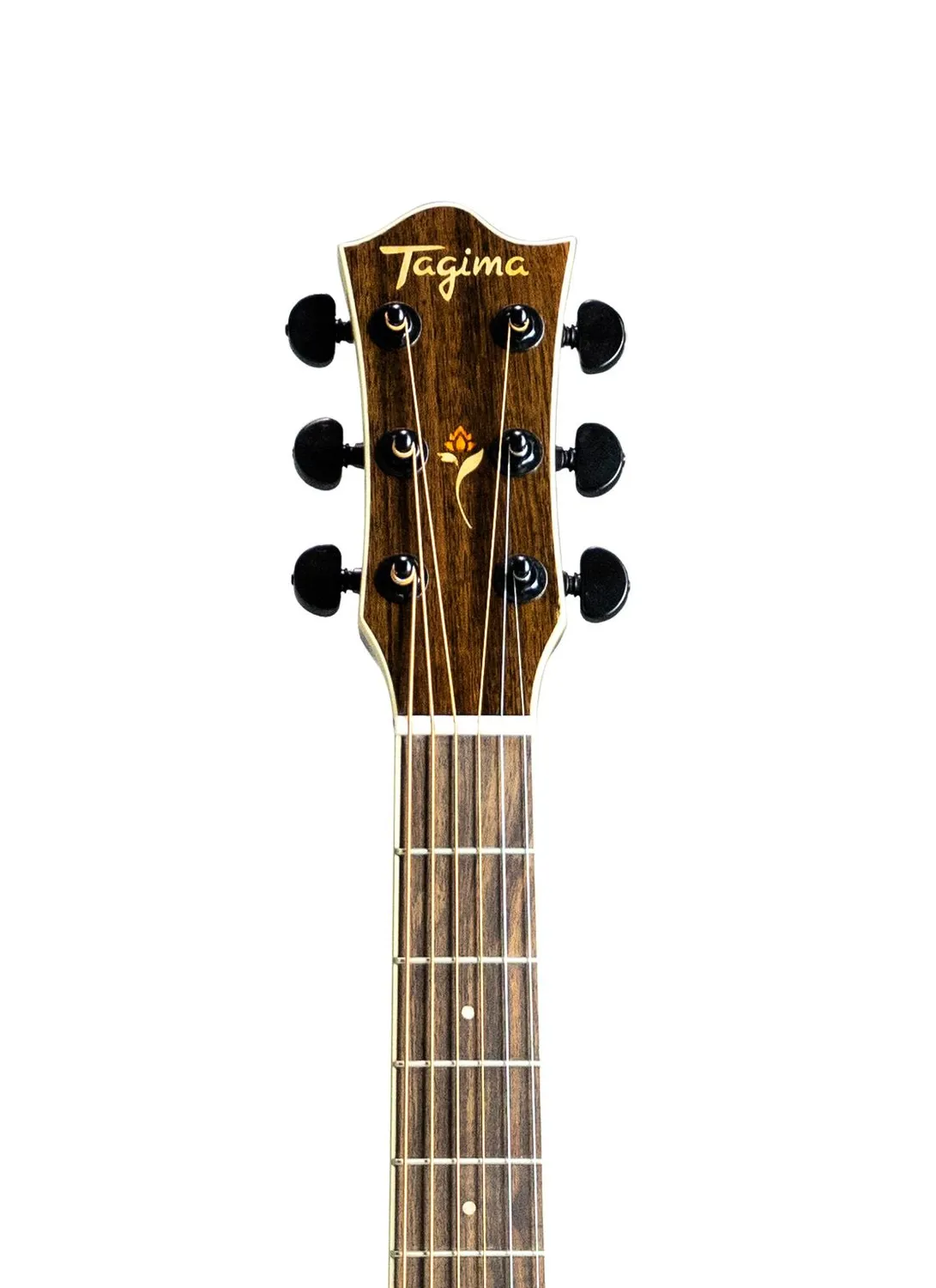 Tagima Florens FS-700 elettroacustica jumbo cedro